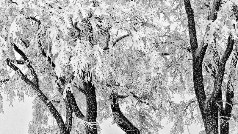 Зимние наряды фото превью