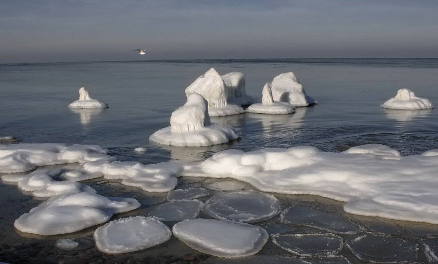 , Павел Дунюшкин