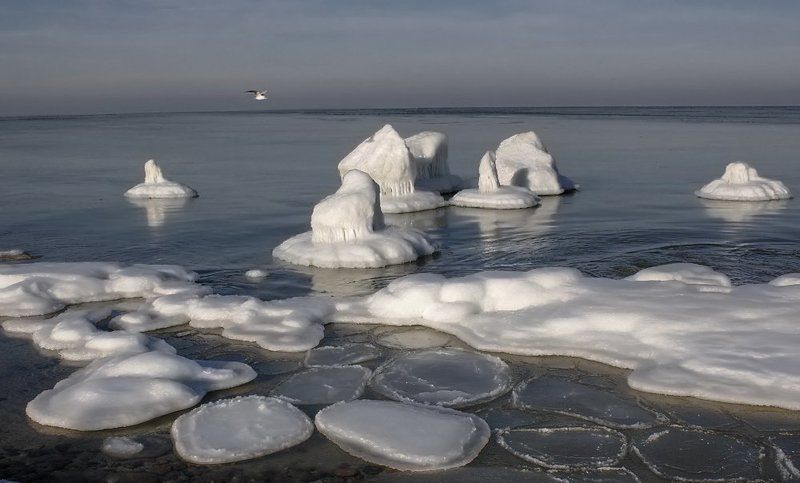 *** фото превью