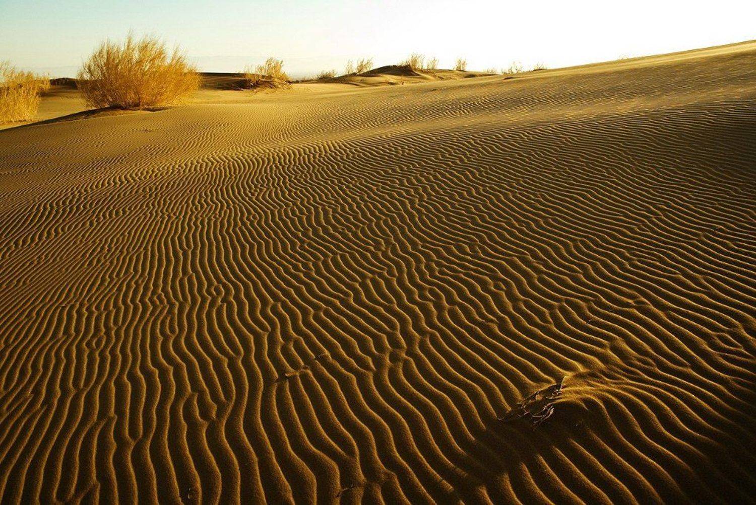 , Андрей Веретенников