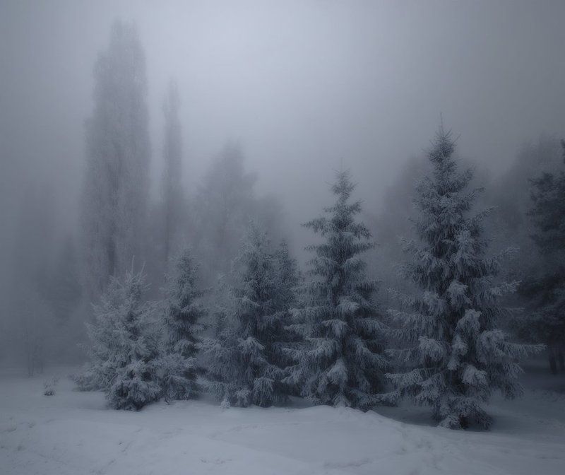 мороз, зима -45 фото превью