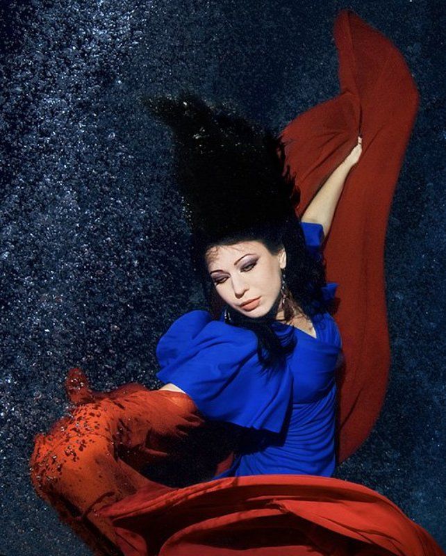 Ёлка фото превью