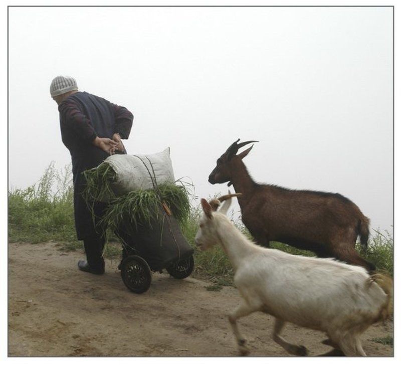 Жили у бабуси... фото превью