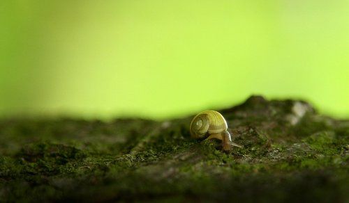 долгая дорога