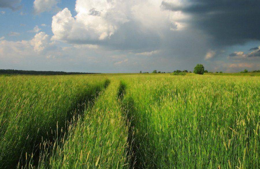 , Viktor Kalechenkov