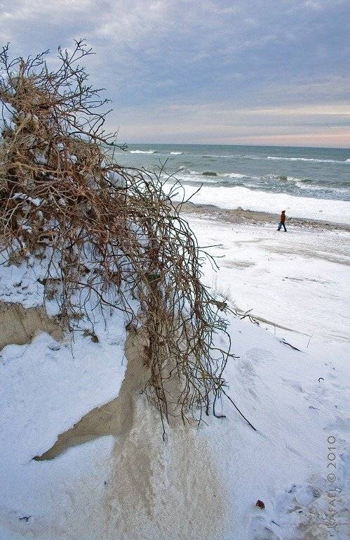 зеленоградск, море, Рафаэль Александрович Фоменко