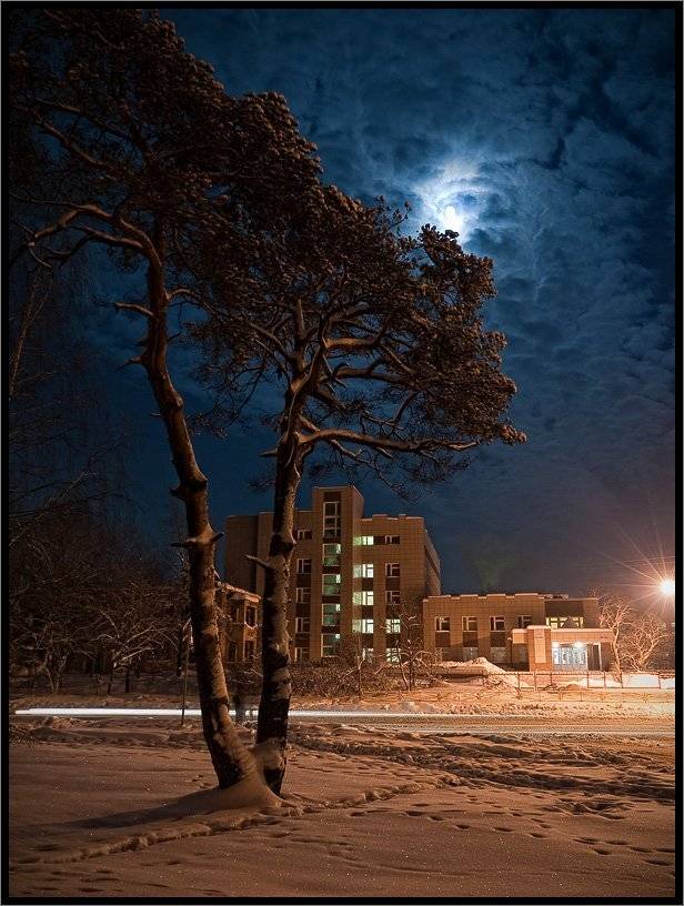 , Лунный Ежик