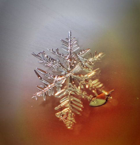 когда с небес спускалися ледяные воины...