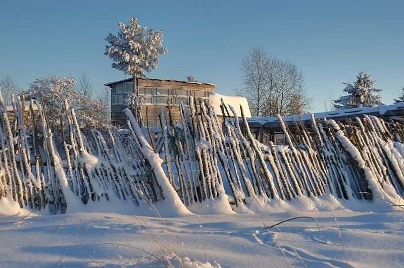 hdr, дача, деревня, деревья,  забор, зима, огород, пейзаж, природа, снег, январь Зимой на фазенде фото превью