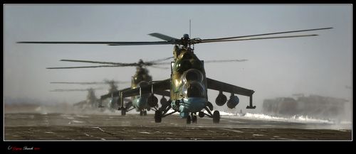 # Крокодилы атакуют!! #