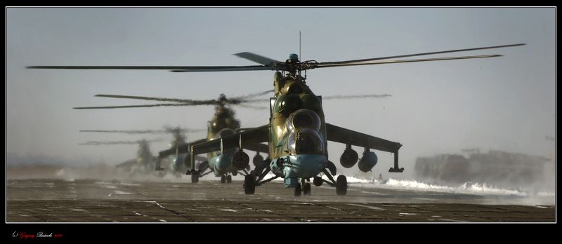 # Крокодилы атакуют!! #