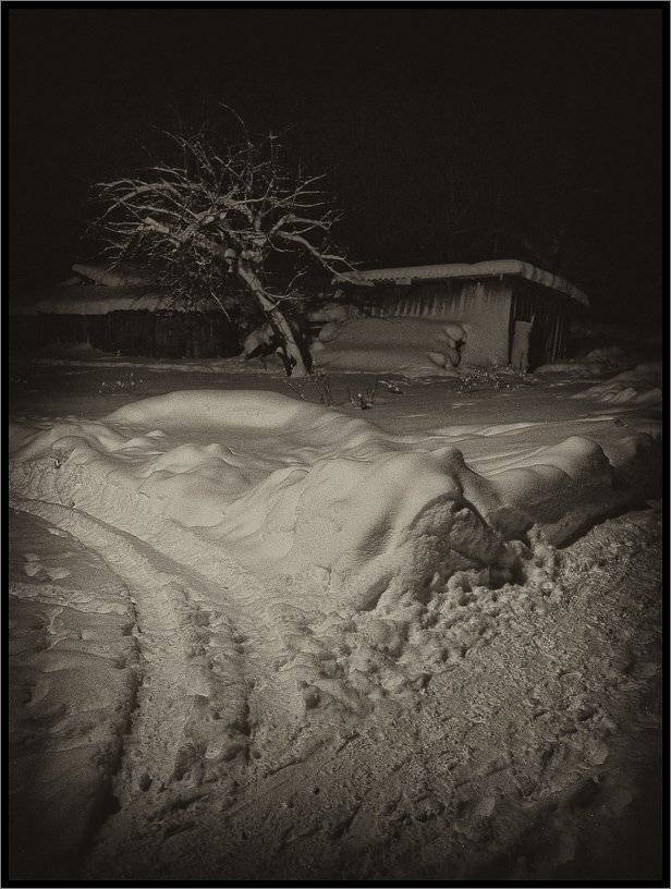 , Лунный Ежик