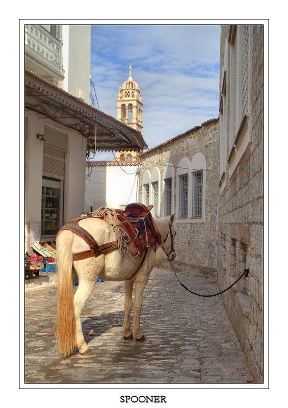 * * * фото превью