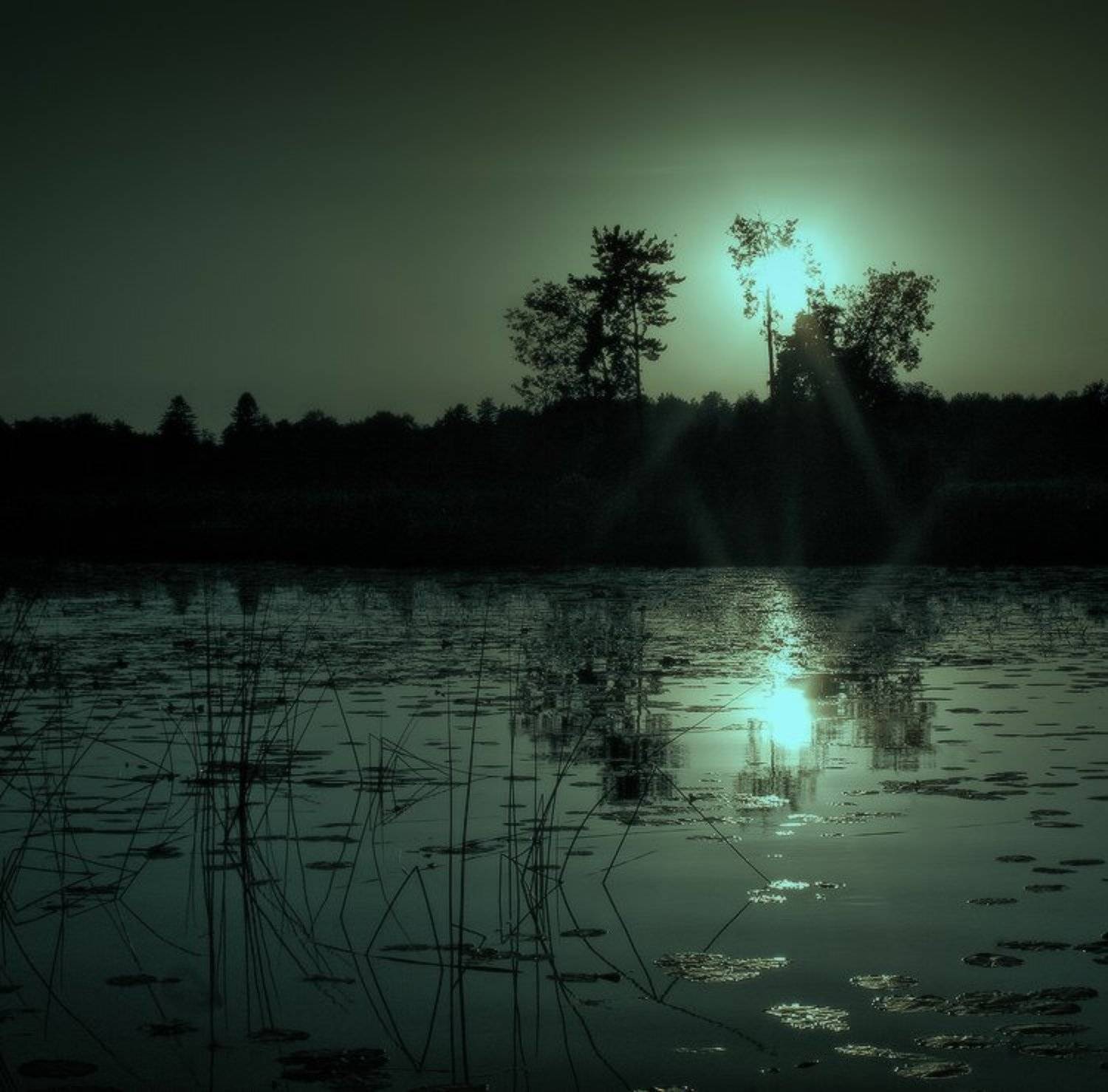 , Viktor Kalechenkov