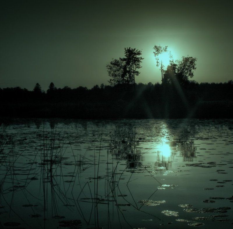 Когда клюет карась фото превью