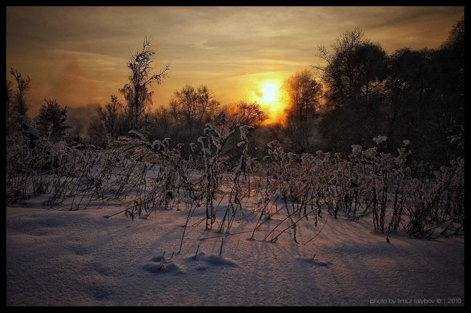 , Тимур Талыбов