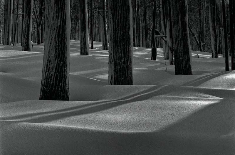 снежное царство (графика ) фото превью