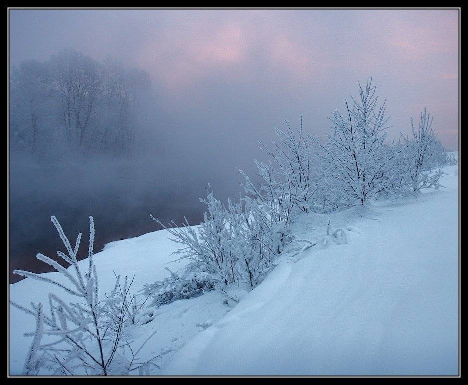 , Юрий Фролов