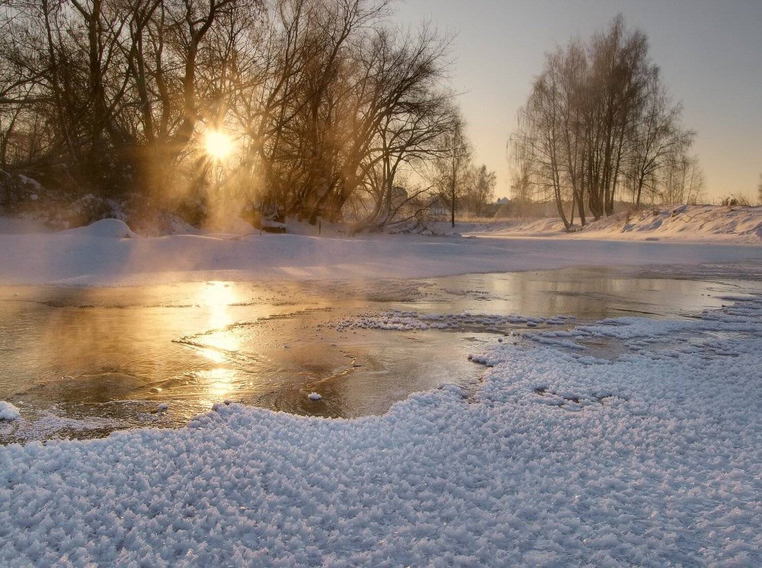 , Максим Евдокимов