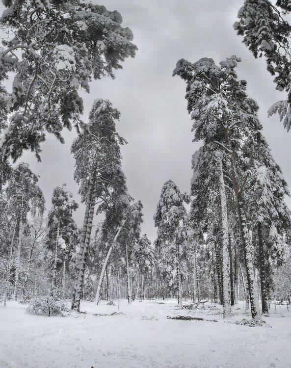 , Михаил Мочалов