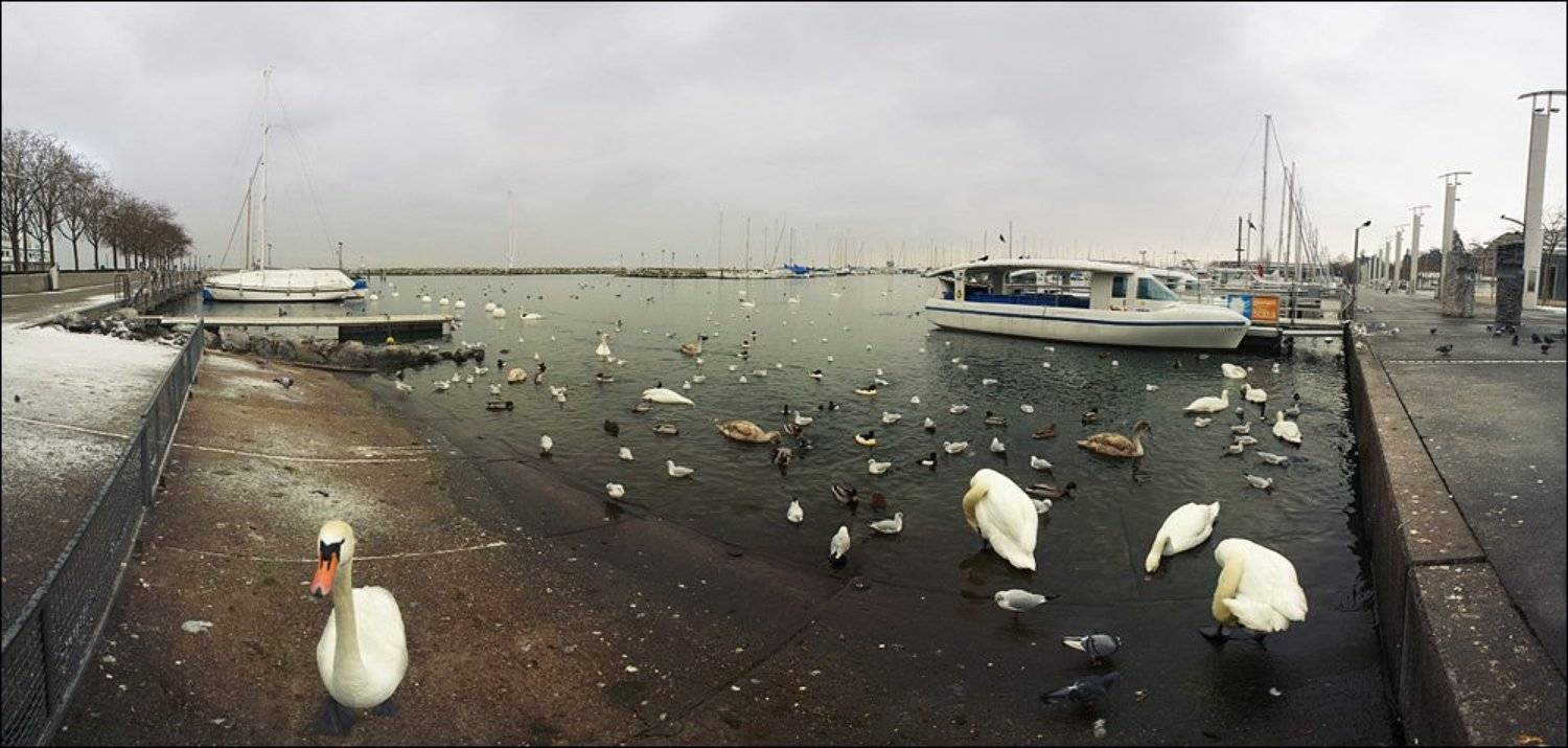 lausanne, suisse, Владимир Эделев