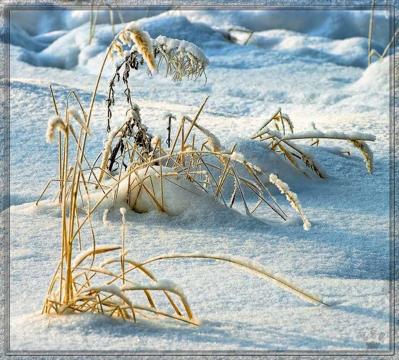 vvs, мороз *** фото превью