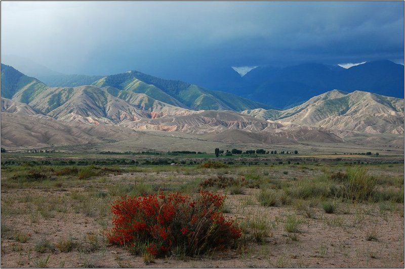 киргизия, иссык-куль, горы Разноцветная Киргизия фото превью