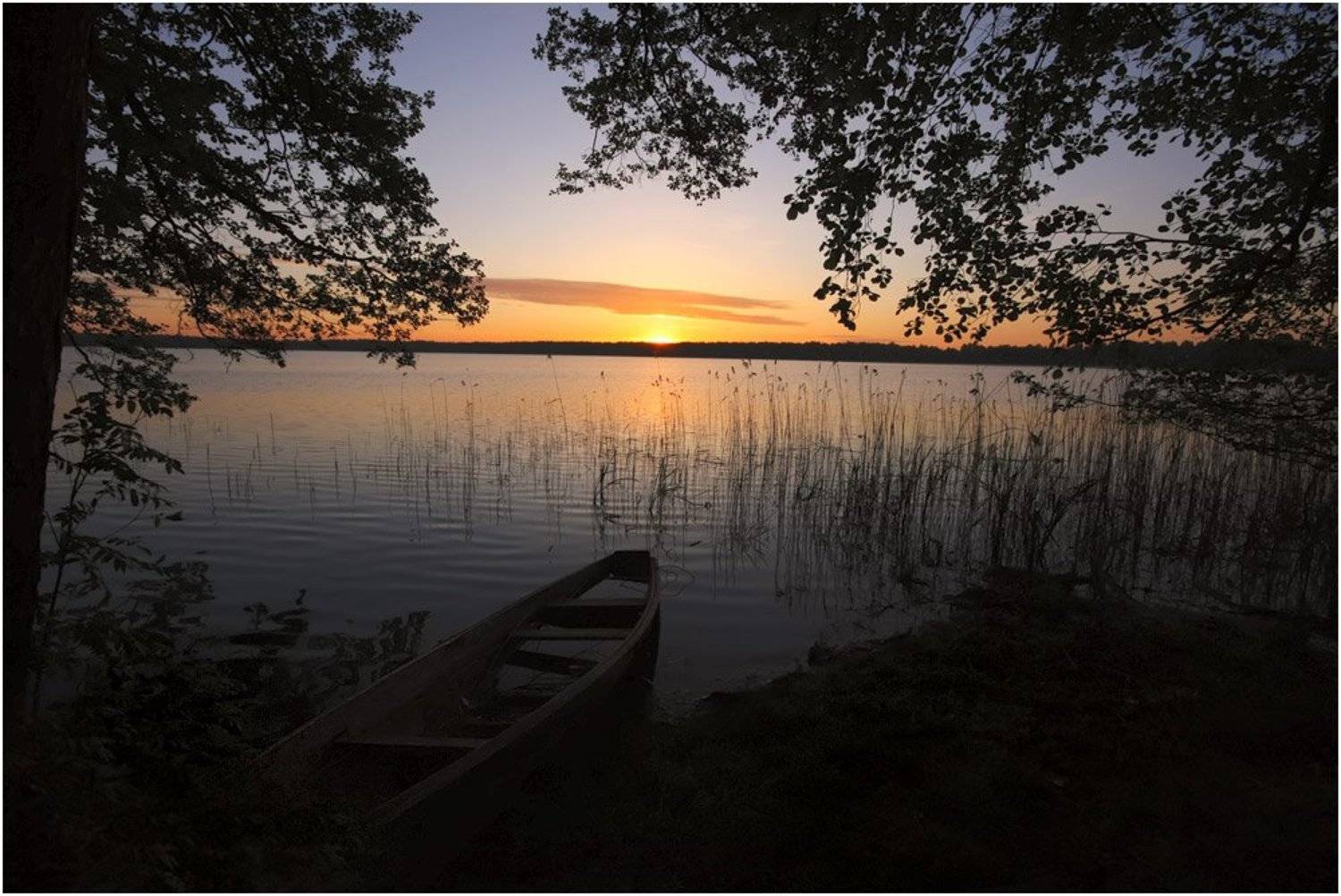 , Игорь Шевченко