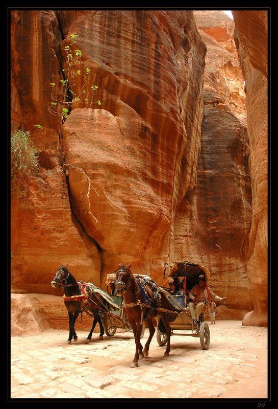 Petra\'s Taxi ... фото превью