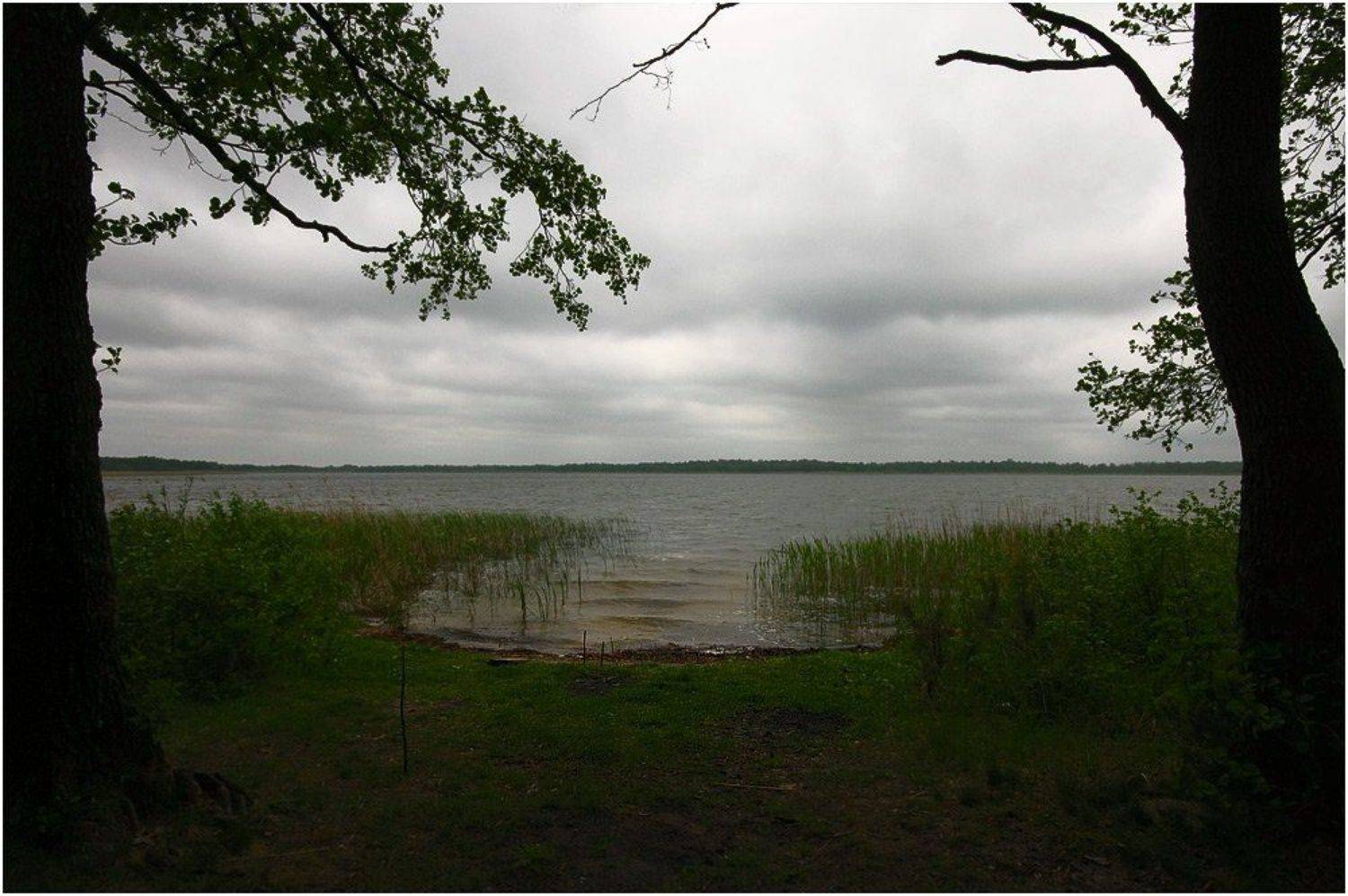 , Игорь Шевченко