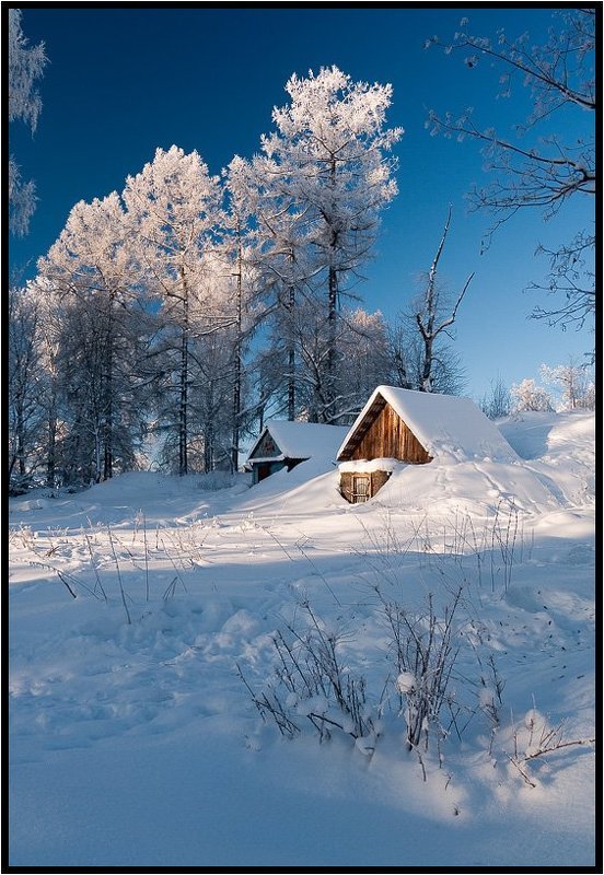 По крышу в снегу фото превью