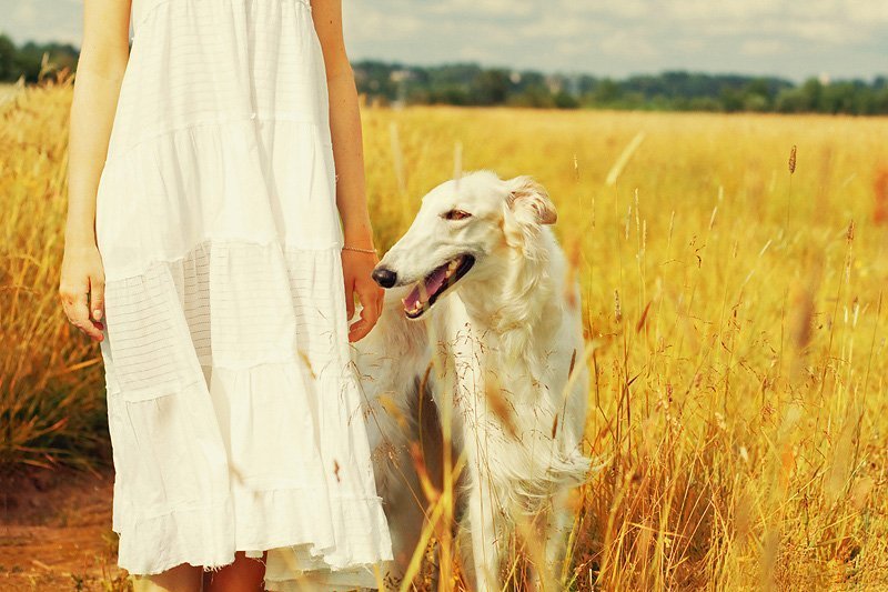 summer фото превью