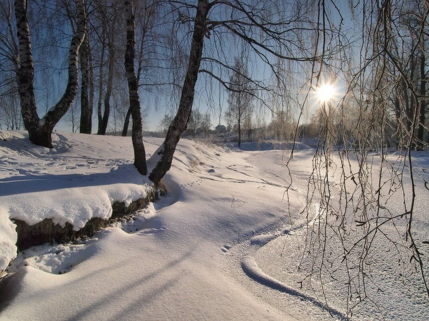 , Максим Евдокимов