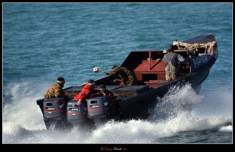 каспийское море, браконьеры, байда, дагестанцы # Улики за борт !!! # фото превью