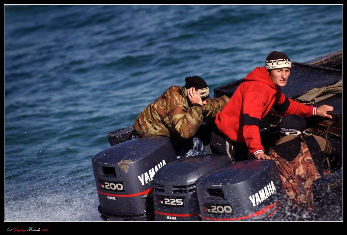 браконьеры, байда, лодка, море, погоня, Григорий Беденко
