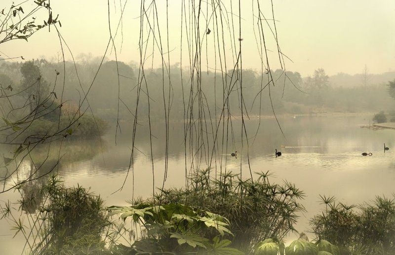 китай, озеро, туман, пейзаж тишина по-китайски... фото превью