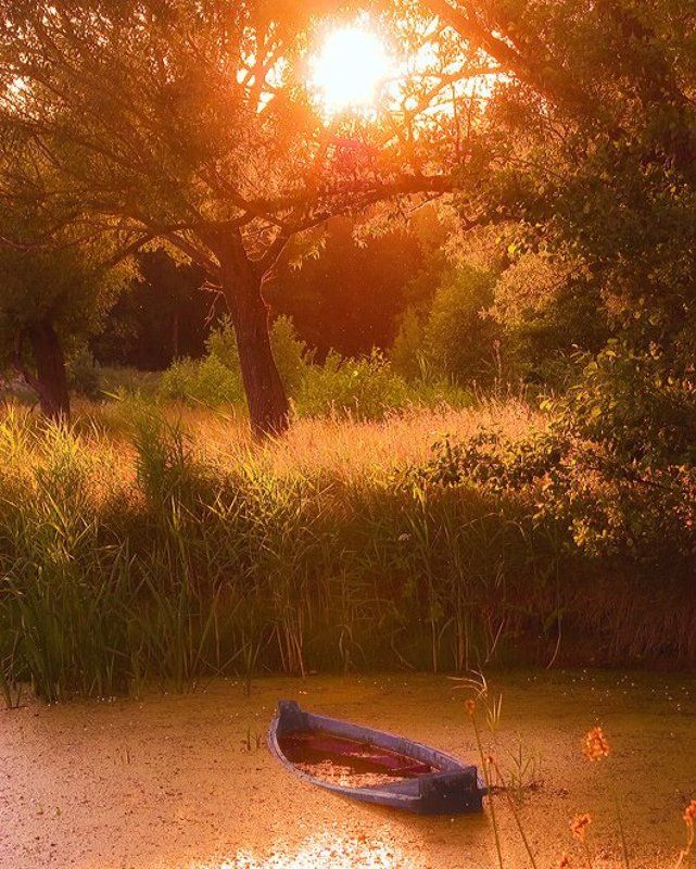 ташань, лодка, река Ташань фото превью