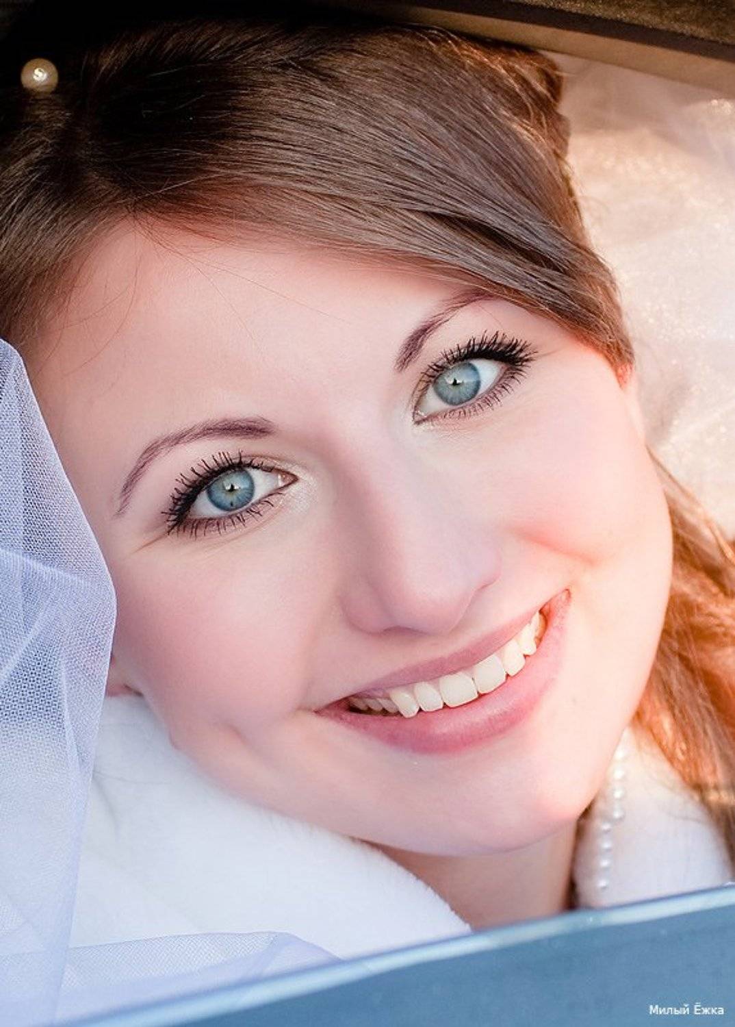 , Милый Ёжка