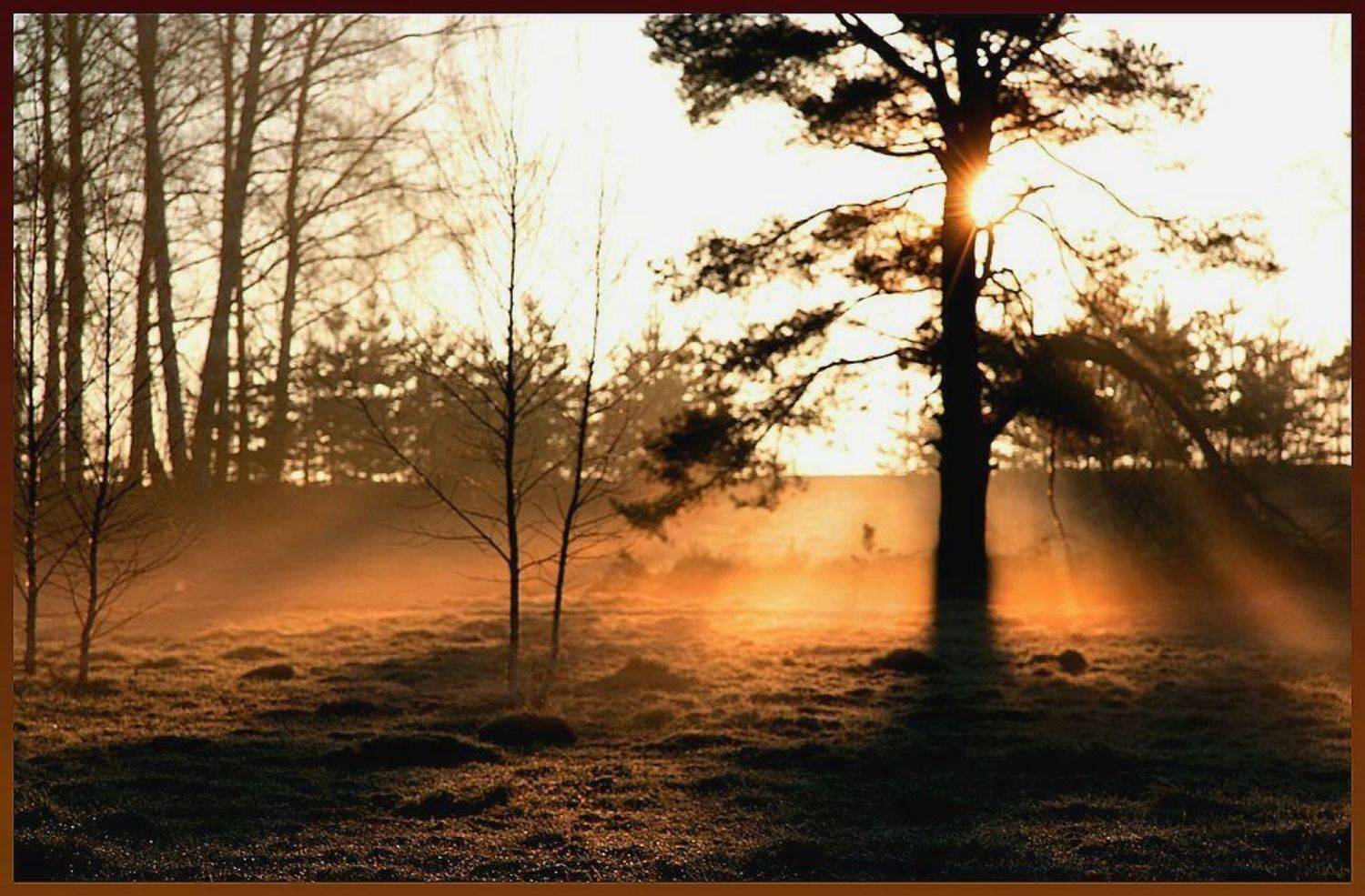 утро, весна, Василий Черкасский