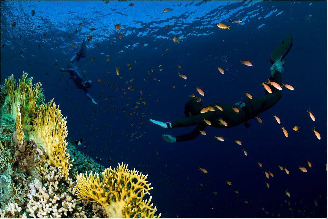 фридайверы, Сергей Шанин