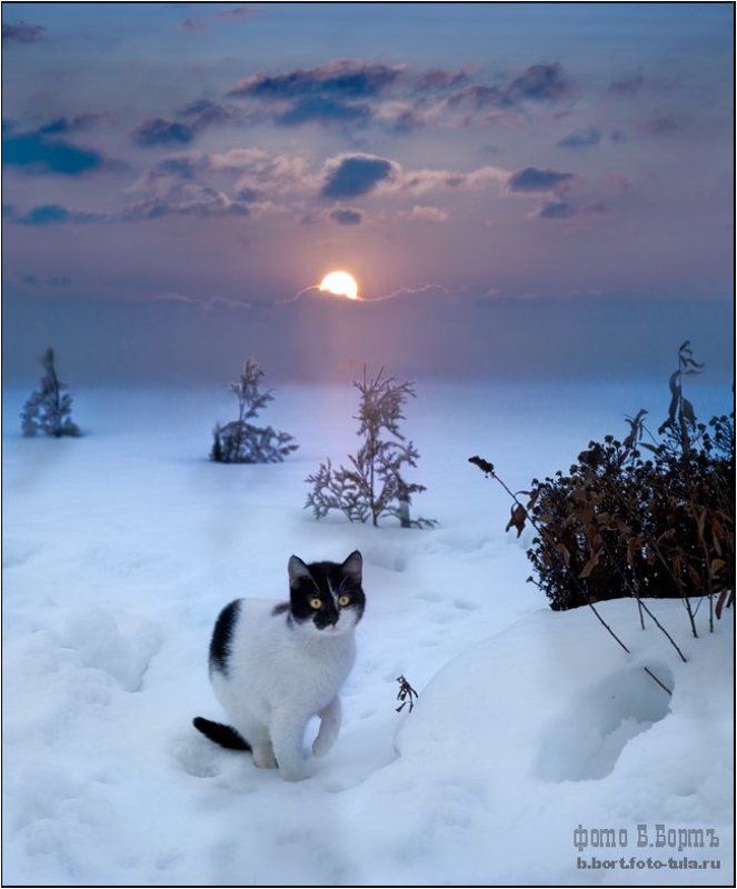 Холодно