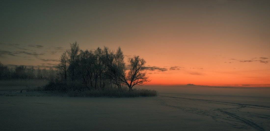 , Владимир Липецких