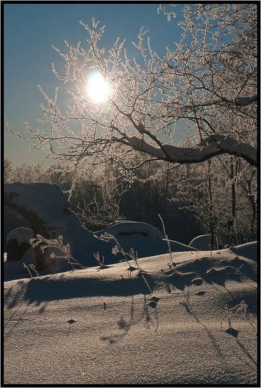 Морозно-пупырчатая фото превью