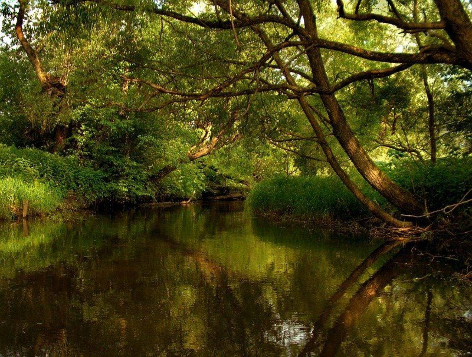 , &bull;**/ASSOL**&bull;