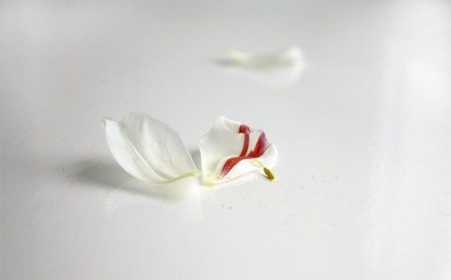 любовь. проверка на прочность.