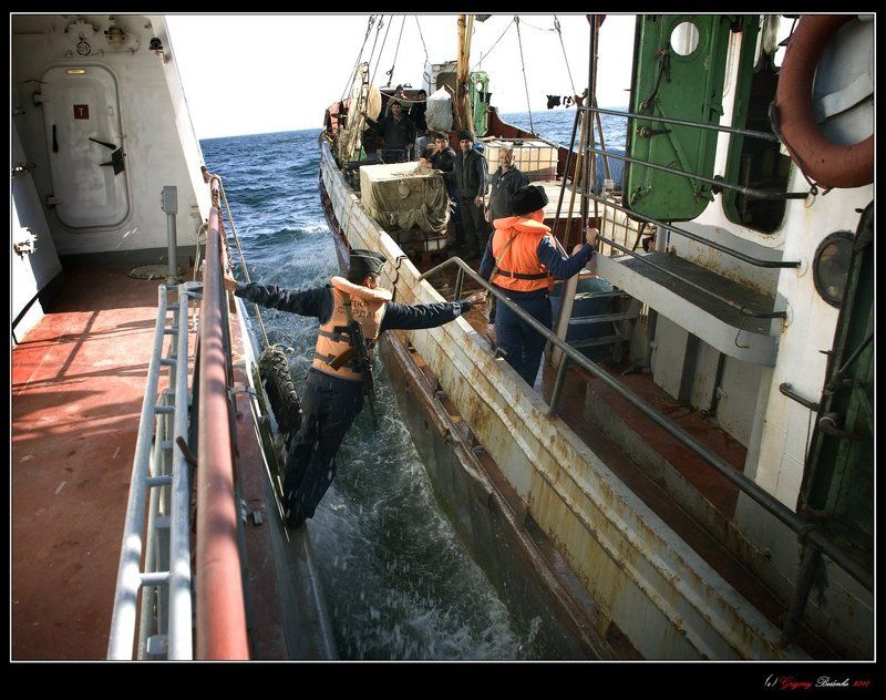 казахстан, каспийское море, браконьерское судно, арест # Арест браконьерского судна # фото превью