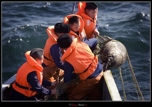 # Грязная работа #