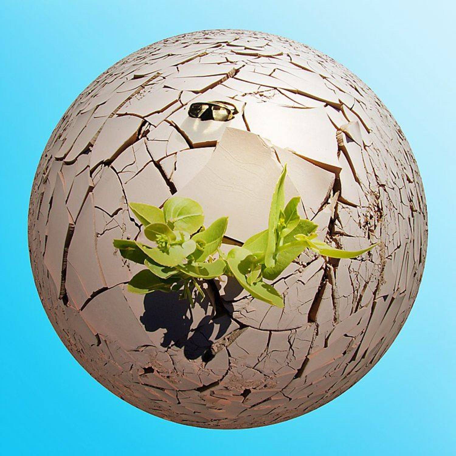 циркуляр, пустыня, египет, Сергей Шанин