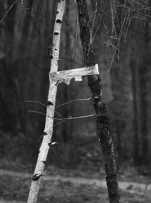 , Максим Юлдашев