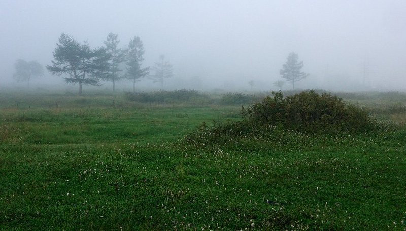 утро, туман * * * фото превью